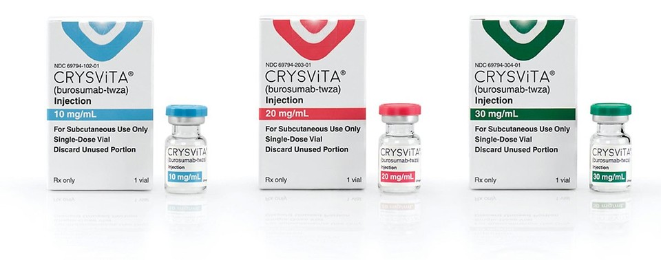 한국쿄와기린 '크리스비타주'