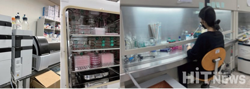 (사진 왼쪽부터) HPLC-MS/MS, 세포배양용 인큐베이터. 약물약동학 연구실 연구원이 클린벤치에서 연구를 수행 중이다. 