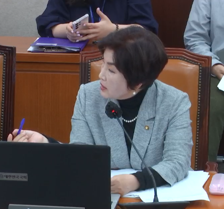 더불어민주당 전혜숙 베트먄 토토