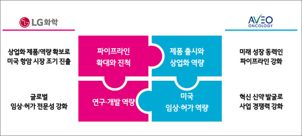 LG화학의 아베오파마슈티컬 인수 관련 설명자료. 