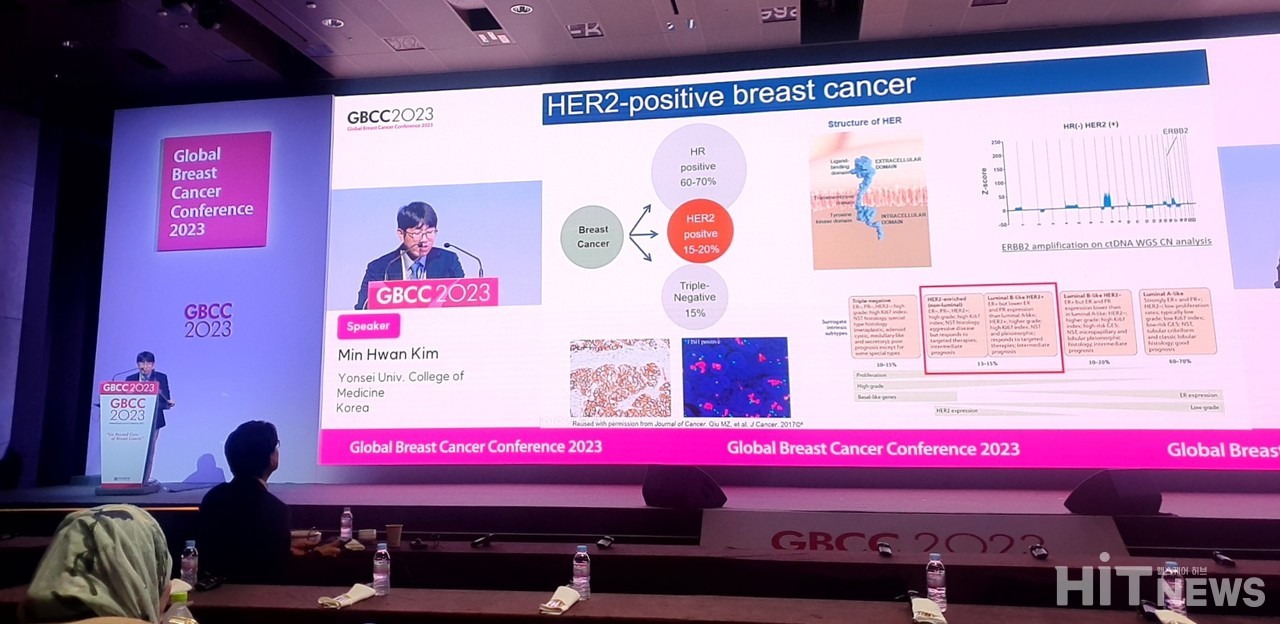 지난달 29일 서울 소재 그랜드 워커힐 호텔에서 개최된 GBCC 'satellite symposium'에서 김민환 연세대 의과대학 종양내과 교수가 '엔허투'의 임상적 중요성에 대해 설명하고 있다. / 사진=황재선 기자