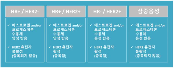 주요 유방암 아형 4종
