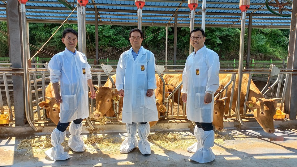 (왼쪽부터) 김영환 경북축산기술연구소 소장, 이병화 툴젠 대표, 장구 라트바이오 대표 / 사진=툴젠