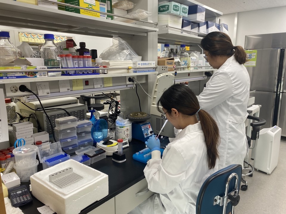 라이보텍은 원형 mRNA 원천 기술을 확보한 바이오텍이다. / 사진=라이보텍