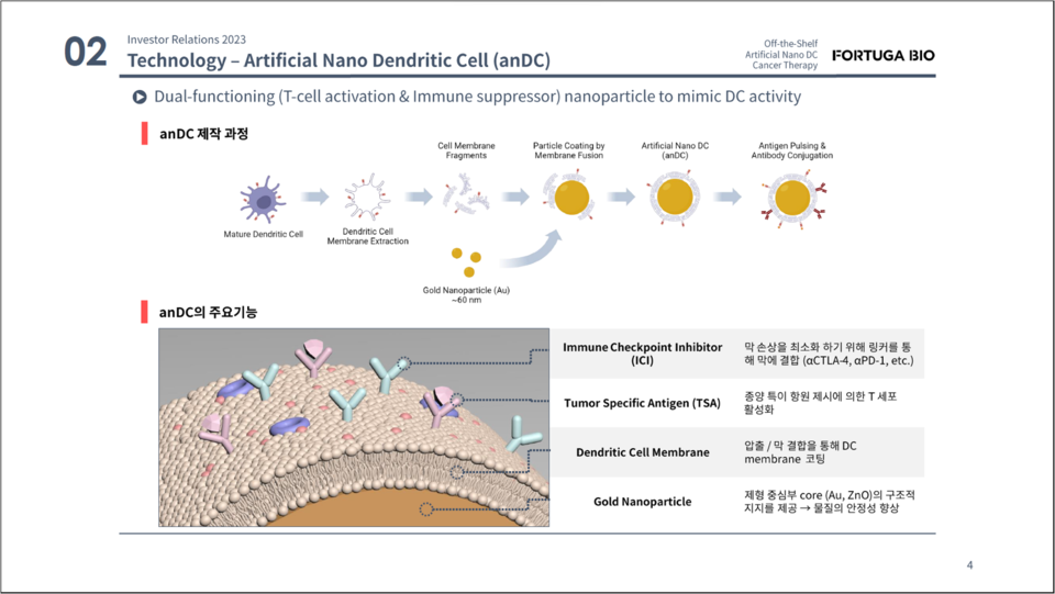 인공 나노 수지상세포(anDC)의 제작 과정 및 주요 기능 / 출처=회사 IR 자료