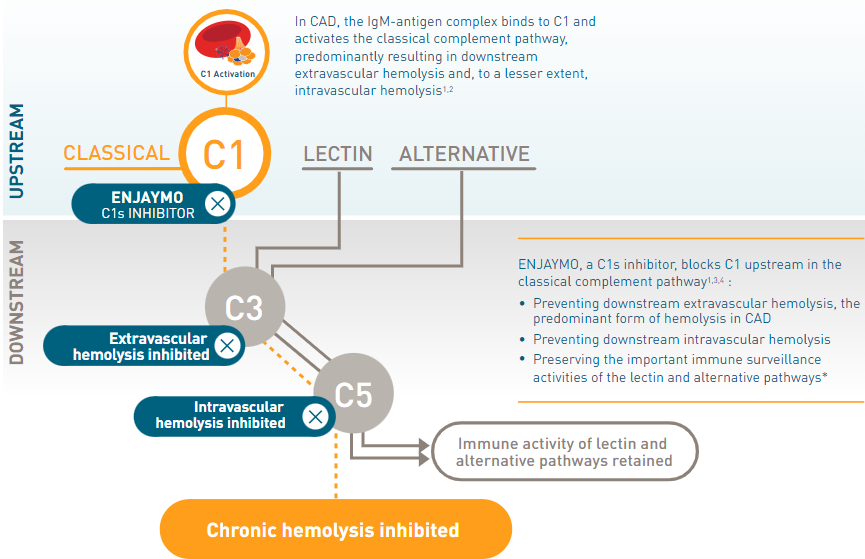 엔제이모주의 작용기전 / 사진=사노피-아벤티스