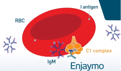 엔제이모주의 작용기전 / 사진=사노피-아벤티스