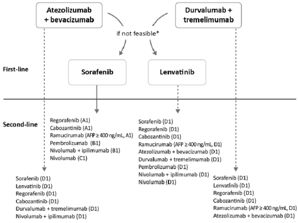 2022년도 간세포암종 표준 치료 가이드라인