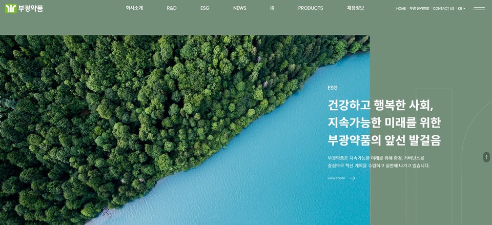 새단장한 부광약품 홈페이지 / 사진=부광약품