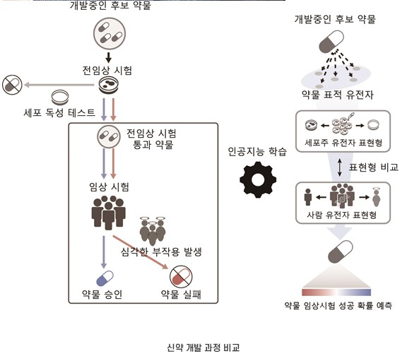 신약 개발 과정 비교 / 사진=이뮤노바이옴
