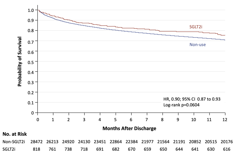 당뇨 환자 중 급성 심부전으로 입원환 환자의 입원 중 또는 퇴원 시 SGLT-2 억제제 처방 여부에 따른 퇴원 후 심부전 재입원 및 심혈관 사망 위험 비교. 퇴원 후 첫 1년 동안 SGLT2-억제제 사용군의 심부전으로 인한 재입원 및 심혈관 사망 위험은 비사용군 대비 10% 가량 유의하게 낮았다. / 사진= 성균관대 약대 신주영 교수 연구팀