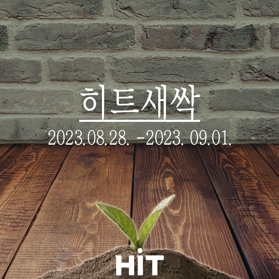 안전한 바카라 사이트