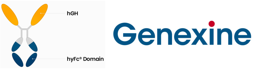 GX-H9 Molecular Concept Diagram (Left) / Graphic = Genexine Webpage 