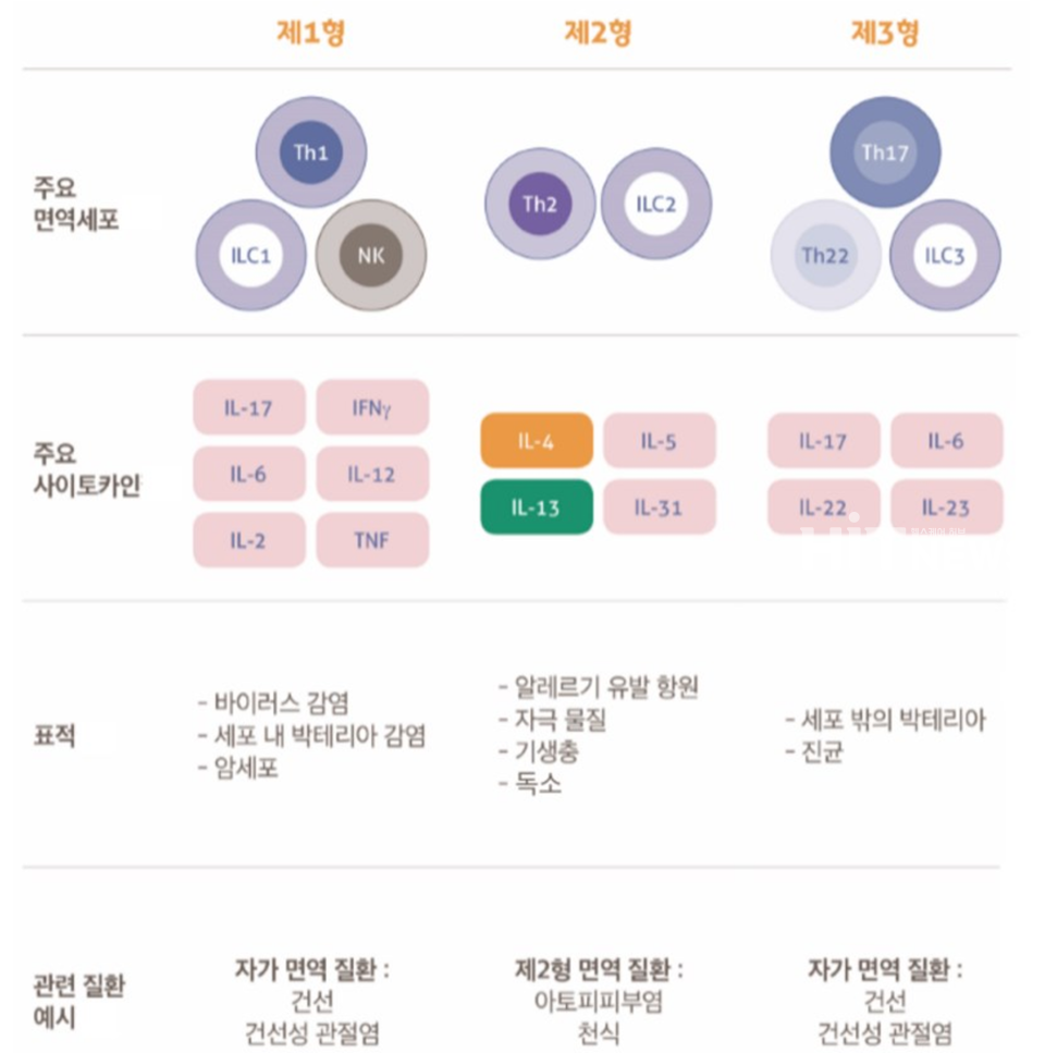 면역 질환에 따른 신호전달 경로 / 자료=사노피