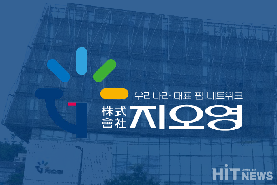 그래픽 = 이우진 기자