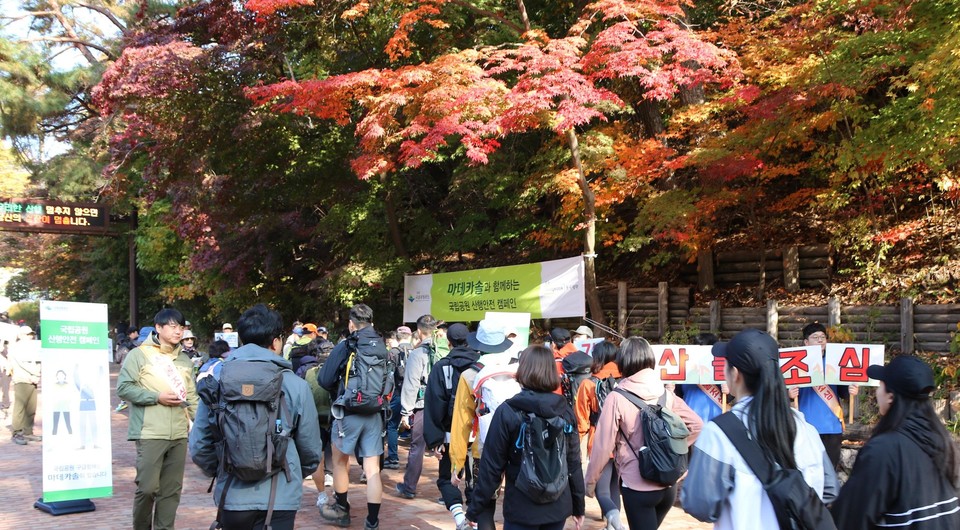 동국카지노 슬롯 머신의 '마데카솔과 함께하는 국립공원 야영객 안전 예방 캠페인' / 사진=동국제약