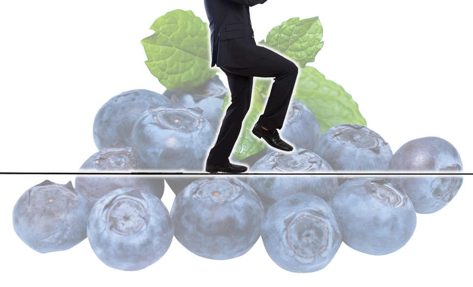 그래픽 = 이우진 기자