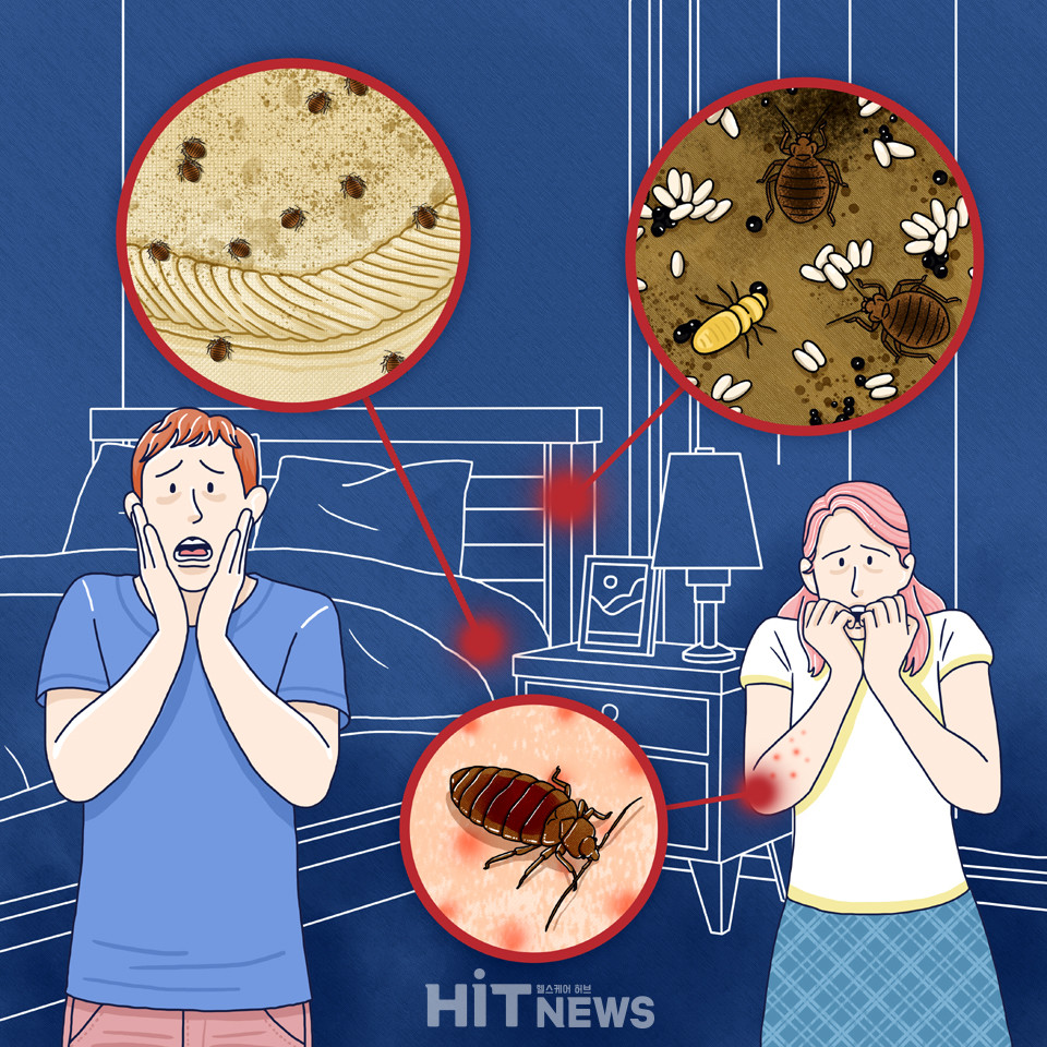 코로나19에서 빈대까지…테마주에 휩쓸리는 개미와 기업들 < 기자수첩 < 생각을 hit < 기사본문 - 히트뉴스