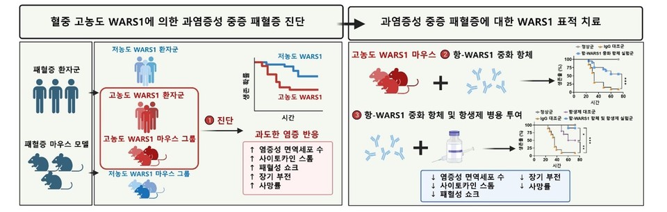 EMBO 분자의학에 게재된 미림진의 WARS1 연구결과의 요약 / 그래픽=미림진