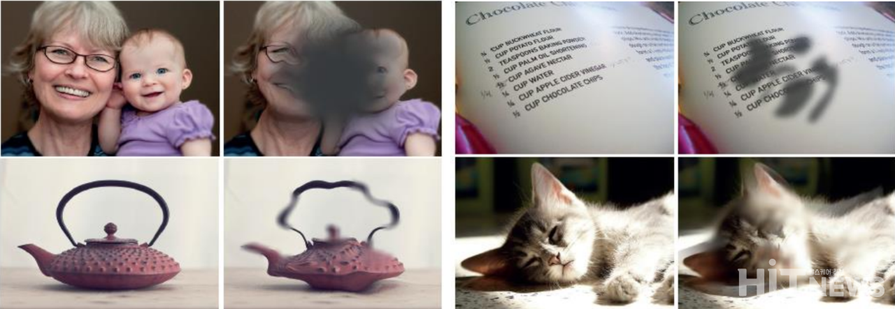 황반변성 환자의 시야 / 사진=바이엘코리아