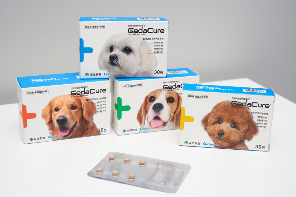 지엔티파마가 개발한 반려견 인지기능장애증후군 치료제 '제다큐어 츄어블정' / 사진=지엔티파마