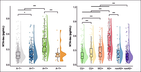 [그림 1: 태깅 탱글(Tagging Tangles). NTA-타우가 아밀로이드 음성(A-) 및 탱글 음성(T-) 대조군(회색, 왼쪽)의 혈장에서 발견된 반면, 수준(levels)은 A+T- 사례(파란색, 왼쪽)에서 약간 높았고 A+T+ 그룹(녹색, 왼쪽)에서 가장 높았다. . A-T+ 그룹(노란색, 왼쪽)은 대조군보다 혈장 NTA-tau가 더 이상 없었습니다. 임상 스펙트럼 전반에 걸쳐 동일한 경향이 나타났다(오른쪽). A-인지적으로 손상되지 않은 대조군(CU-)에서 AD에 이르기까지 NTA-tau가 상승했다. Non-AD 치매 진단을 받은 A- 환자의 NTA-tau 수치는 가장 낮았으나, A+ non-AD 환자군에서는 NTA-tau가 더 높았다. [Lantero-Rodriguez 등의 논문, Molecular Neurodegeneration, 2024.]