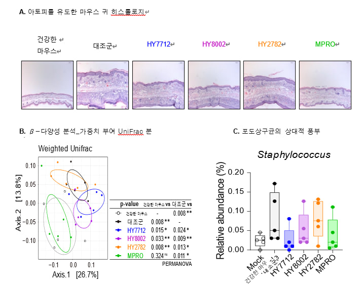이뮤노바이옴·hy·포스텍의 'MPRO' 주요 연구결과 / 그래픽=이뮤노바이옴