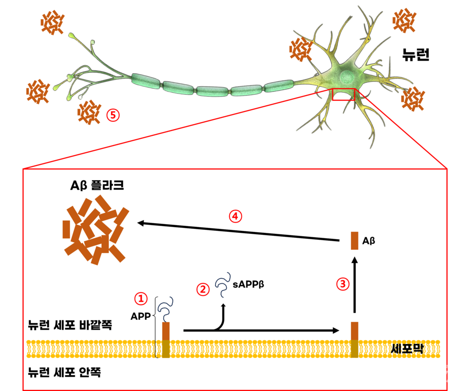 해시 게임 바카라