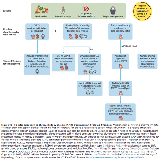 샌즈 카지노 사이트 치료 및 위험 요소 관리를 위한 총체적 접근법(Holistic approach) / 출처=KDIGO 가이드라인