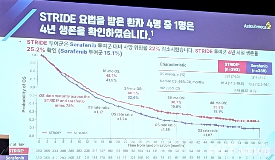 하이 로우 토토 사이트