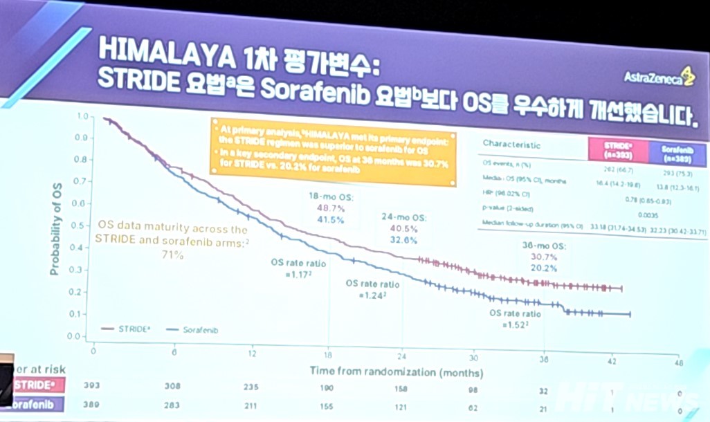 하이 로우 토토 사이트