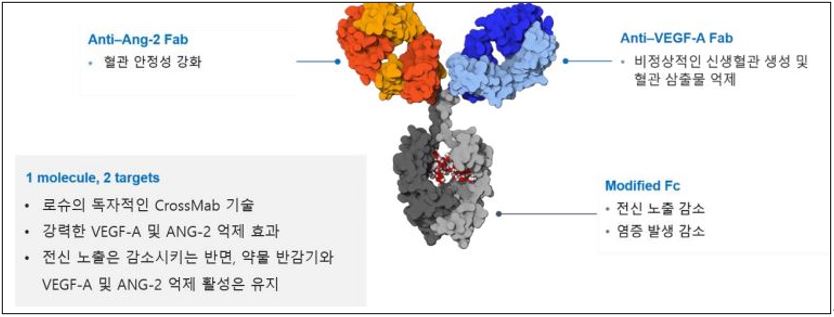 하이 로우 토토 사이트의 구조 및 특징 / 사진=한국로슈