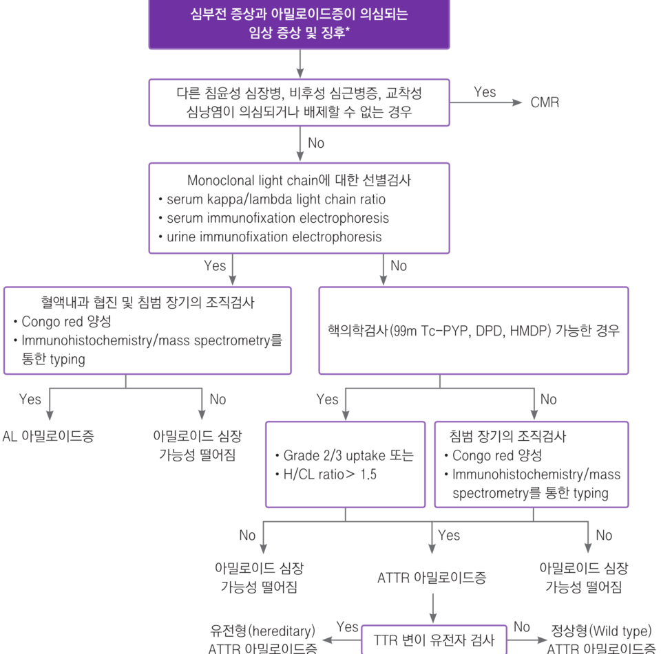 심장 아밀로이드증 진단 알고리즘 / 사진=2022년 대한심부전학회 심부전 진료지침