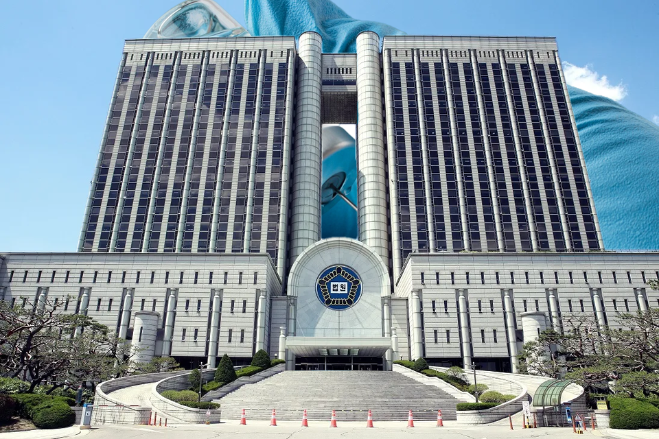 국가예방접종사업 담합 의혹을 받던 6개 에볼루션 바카라사 등이 1심 벌금형을 뒤집고 2심 무죄를 선고받았다.(그래픽=이우진 기자)