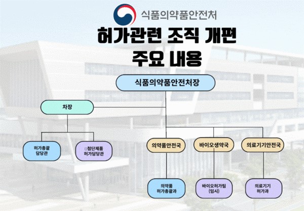 지난 5월 개편된 해외 바카라 사이트 조직도, 히트뉴스 재구성