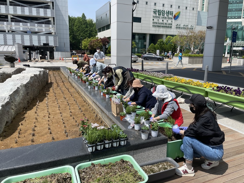 국립암센터가 주최한 '원예치유 프로그램' 참가자들이 직접 원예 활동을 참여하고 있다. / 사진=국립암센터