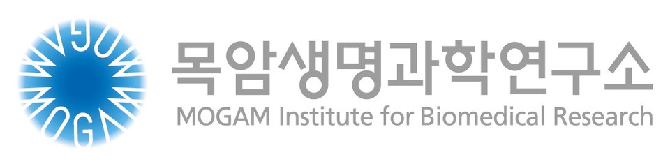 토토 랜드