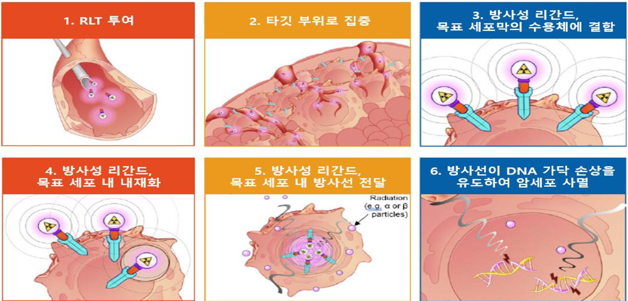 슬롯사이트 추천 리간드 요법의 작용기전 / 사진=한국노바티스