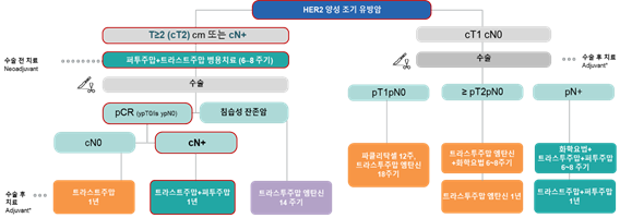 HER2 양성 조기 무료 슬롯 머신 다운 받기 진료지침(2024 ESMO)
