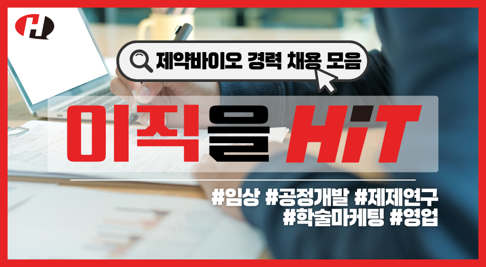 카지노 사이트