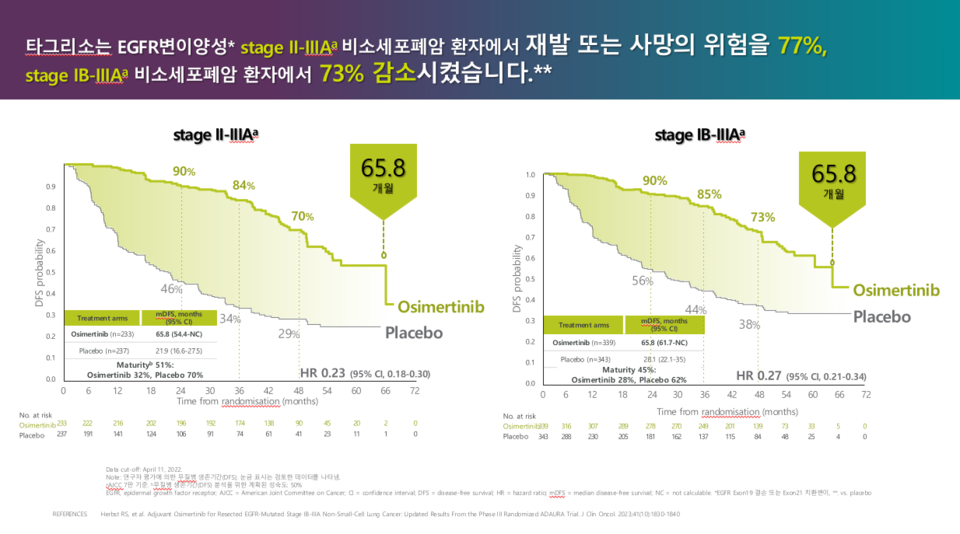 바카라 가상 머니 사이트