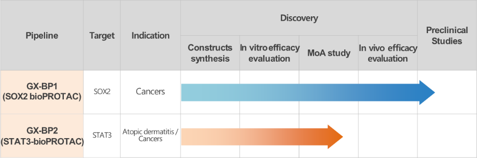 Current Development Status of the BioPROTAC Pipeline