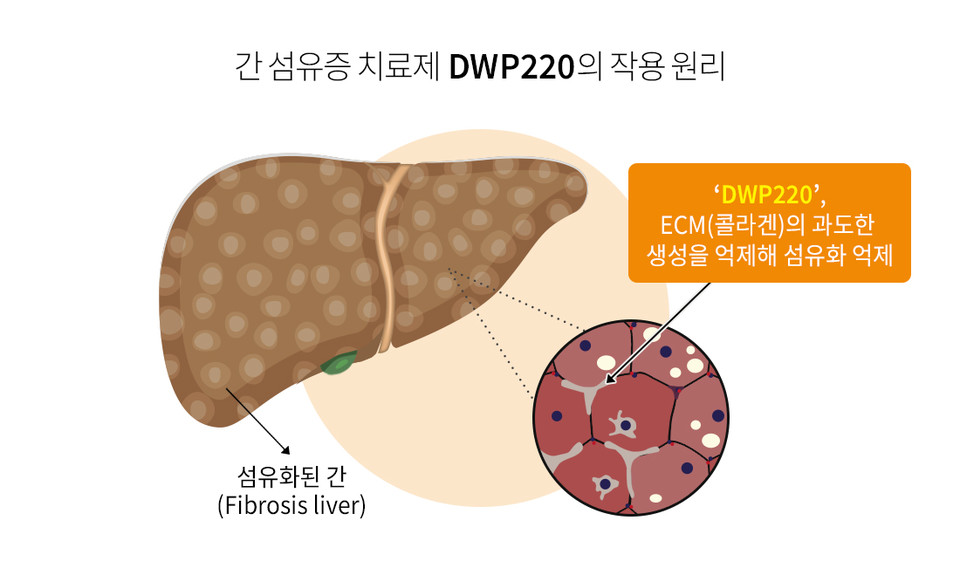 'DWP220'의 작용원리 / 그래픽=대웅제약