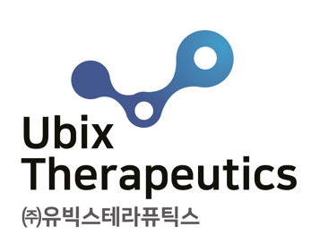 볼트 카지노