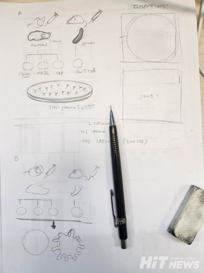 본격적인 그래픽 작업 전, 샤프와 지우개로 대략적인 스케치를 그려둔다.