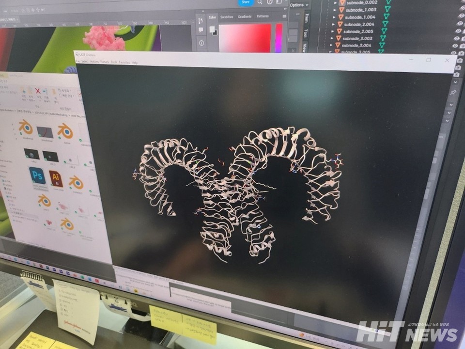 생물분자 전문 디자인 프로그램으로 수용체 단백질 구조를 파악하는 모습.