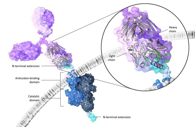 자이미디어가 진행한 KARS1 binding site 3D 작업의 예시. / 그래픽=자이미디어