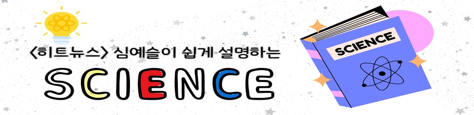 토토 사이트
