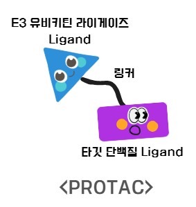 PROTAC 구조 / 그림=심예슬 기자