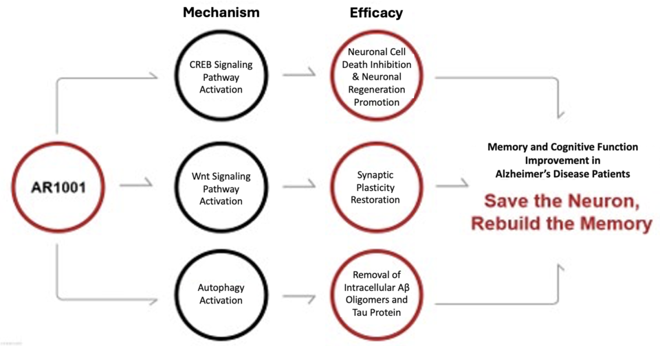 Mechanism of 카지노 노말 / Graphic by AriBio, Translated by Reporter Sodam Park
